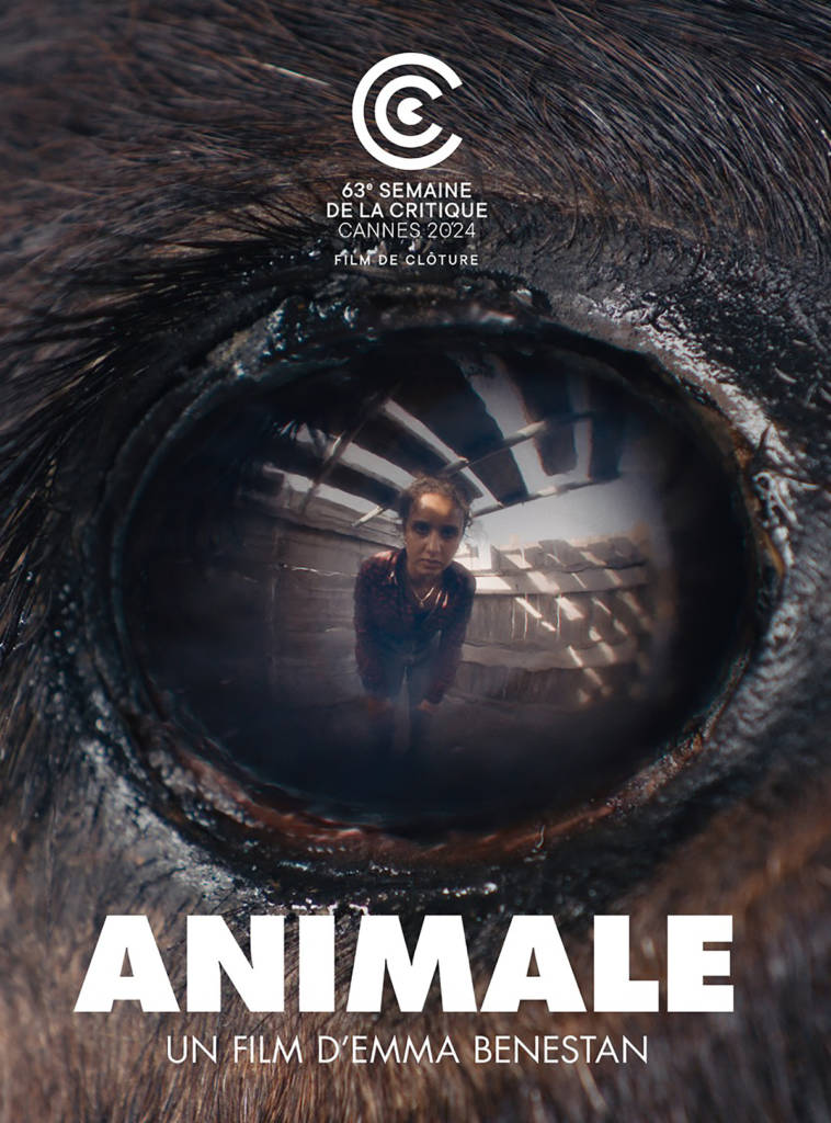 afficheAnimale-provisoire