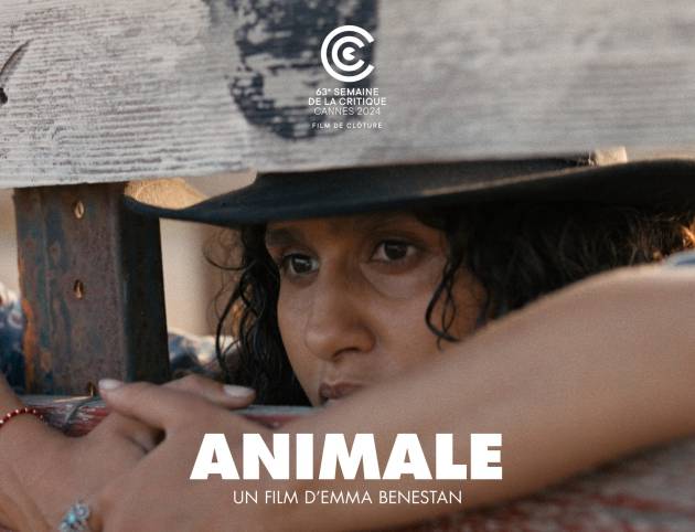 436225780_829420839227877_8636207612708304130_n